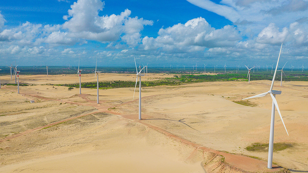Vídeo créditos de carbono